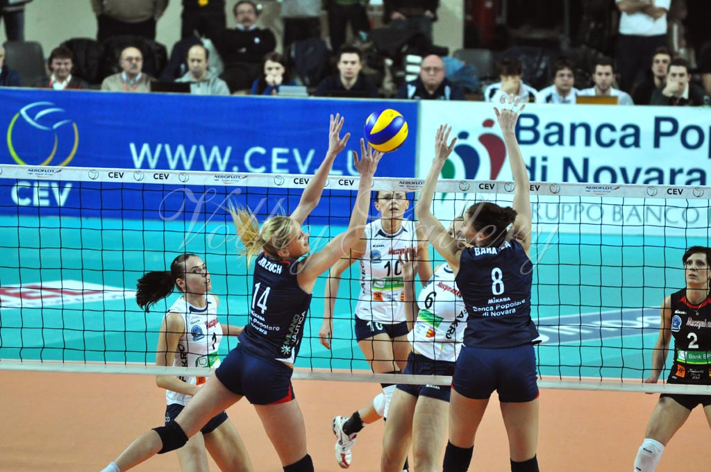 Asystel NO Muszynianka (52)